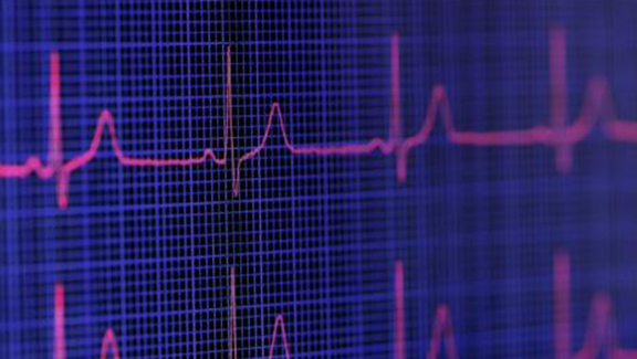 1548054730133897.jpg 2.jpg